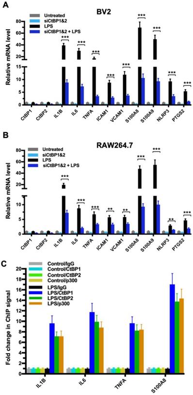 Int J Biol Sci Image