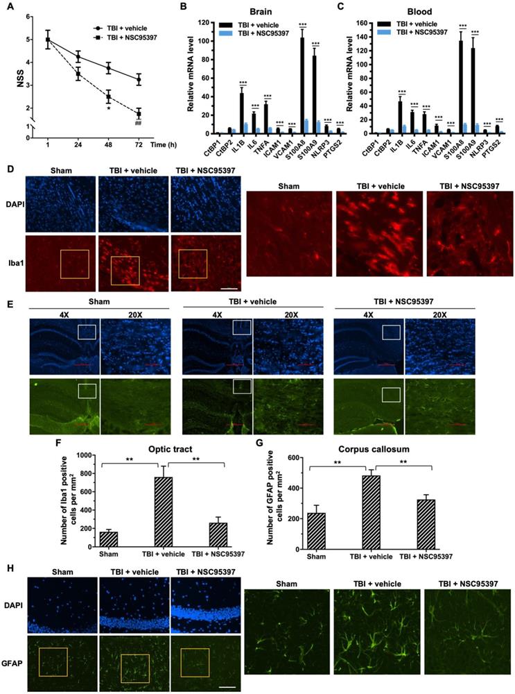 Int J Biol Sci Image