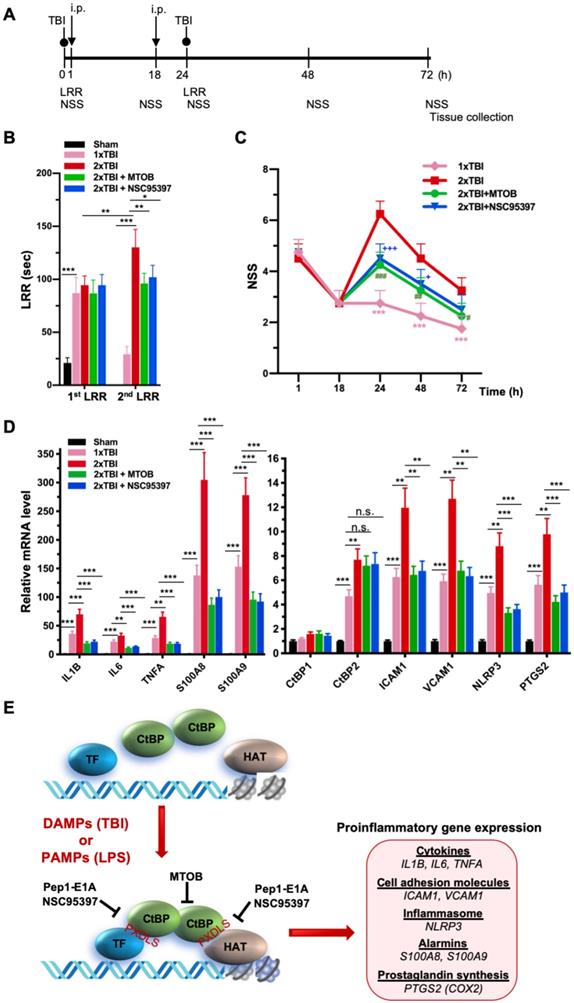 Int J Biol Sci Image