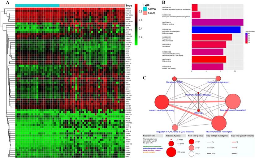 Int J Biol Sci Image