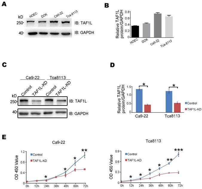 Int J Biol Sci Image