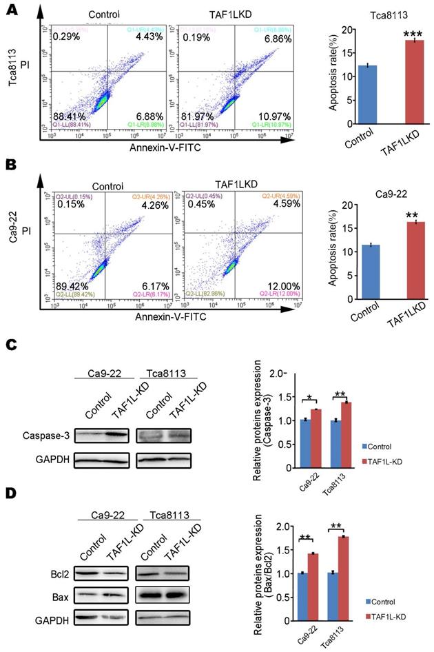 Int J Biol Sci Image