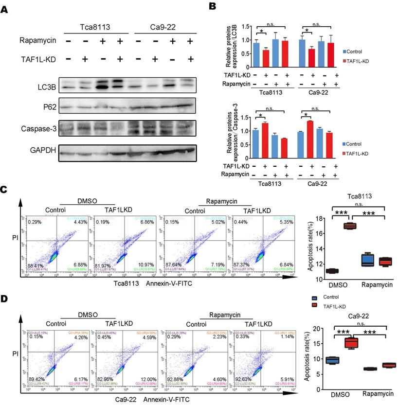 Int J Biol Sci Image