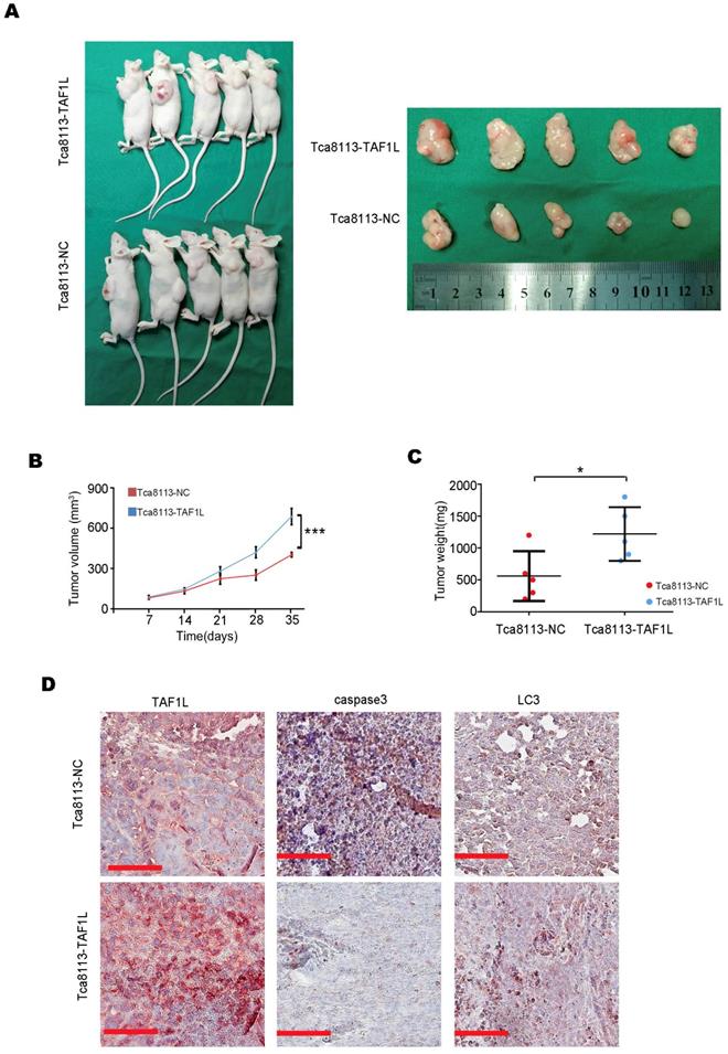 Int J Biol Sci Image