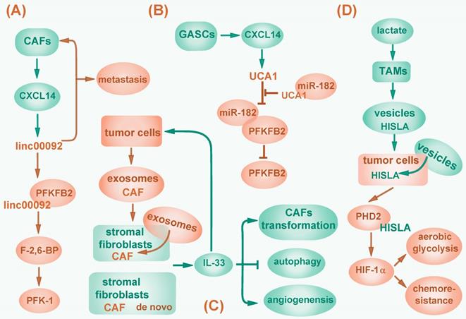 Int J Biol Sci Image