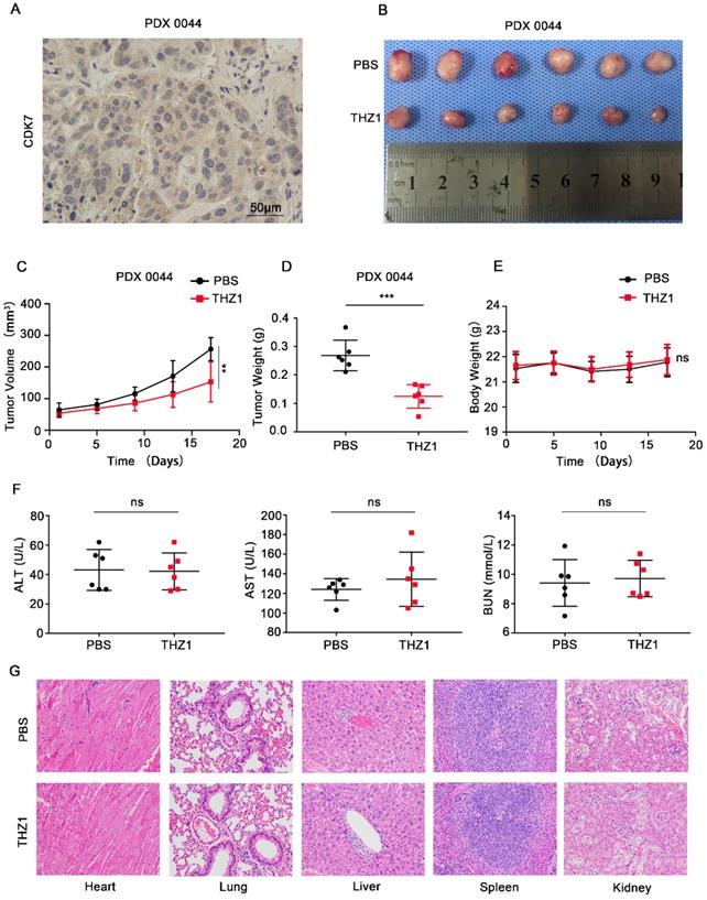 Int J Biol Sci Image