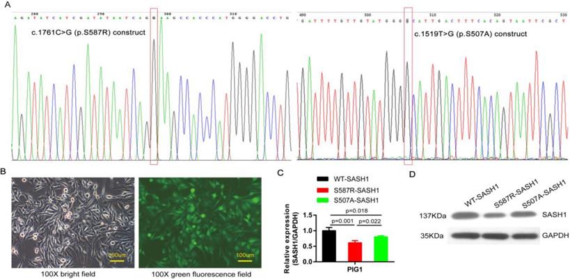 Int J Biol Sci Image