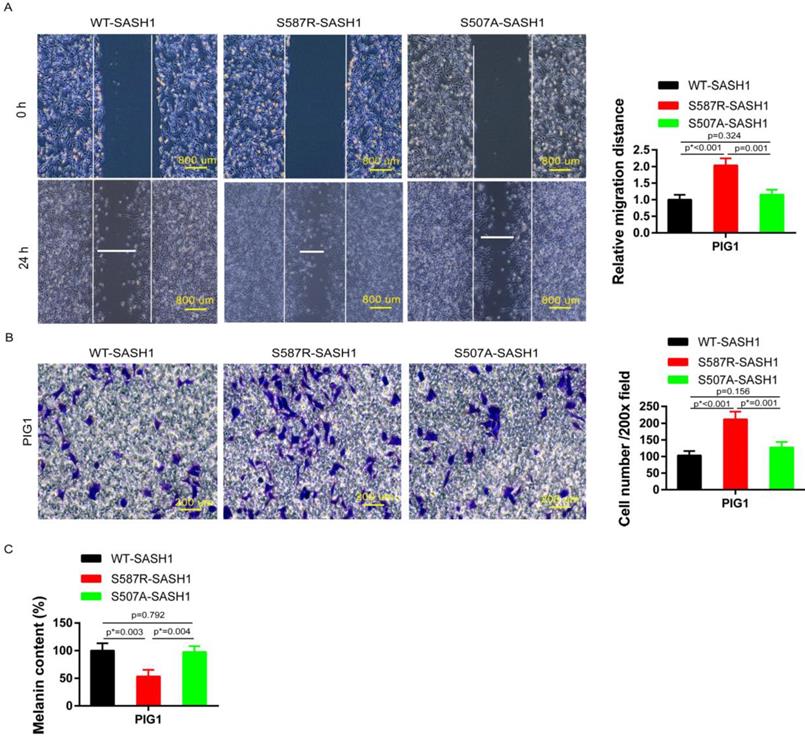 Int J Biol Sci Image