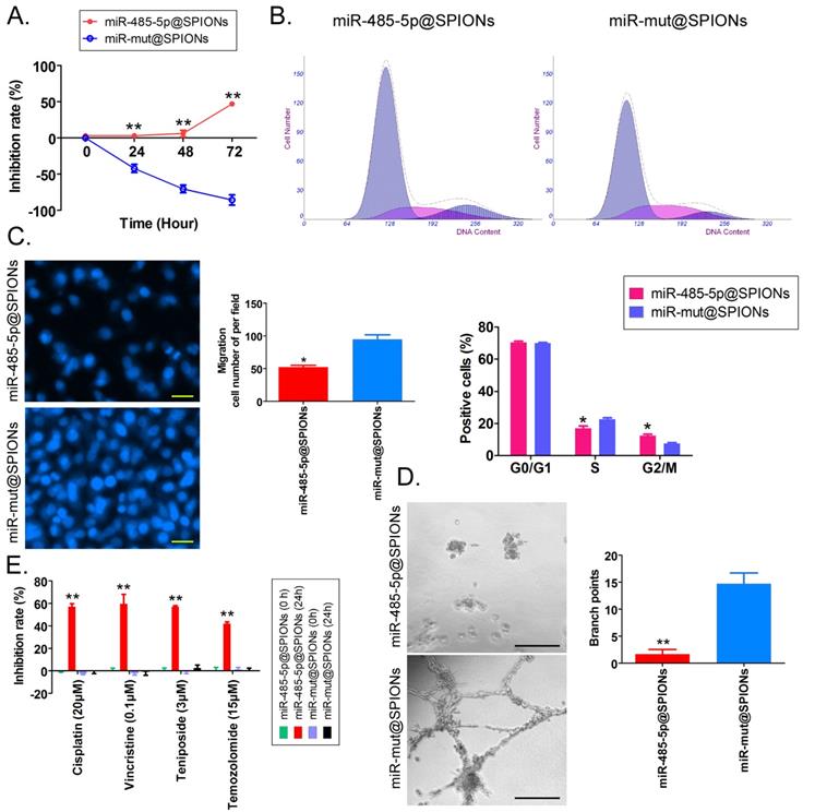 Int J Biol Sci Image