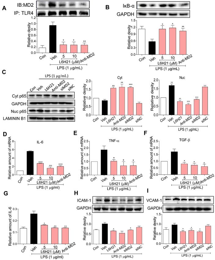 Int J Biol Sci Image