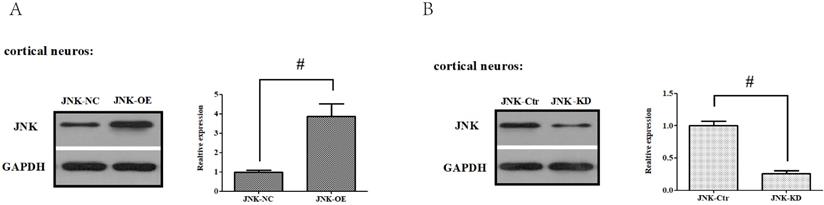 Int J Biol Sci Image