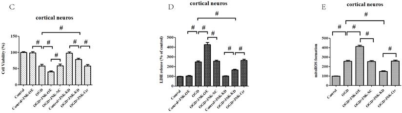 Int J Biol Sci Image