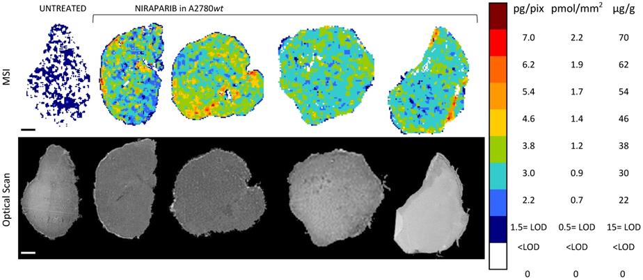 Int J Biol Sci Image