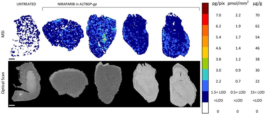 Int J Biol Sci Image