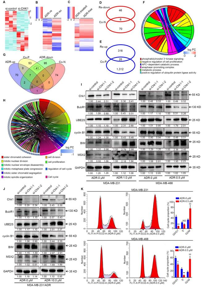 Int J Biol Sci Image