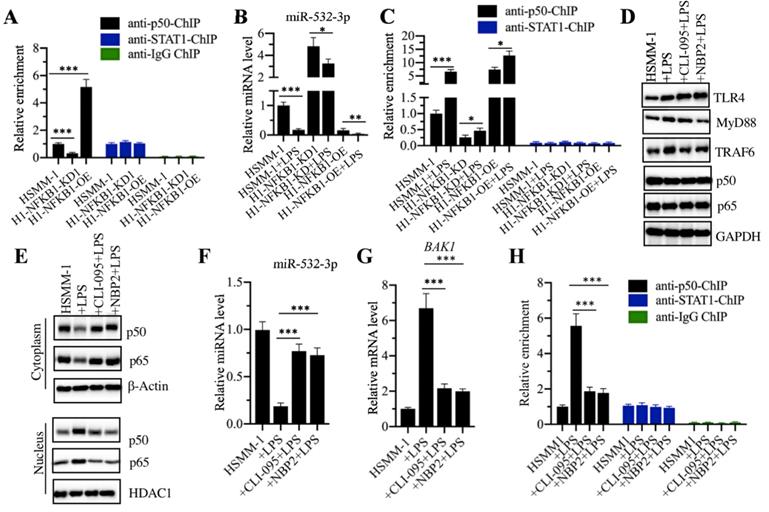 Int J Biol Sci Image