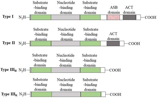 Int J Biol Sci Image