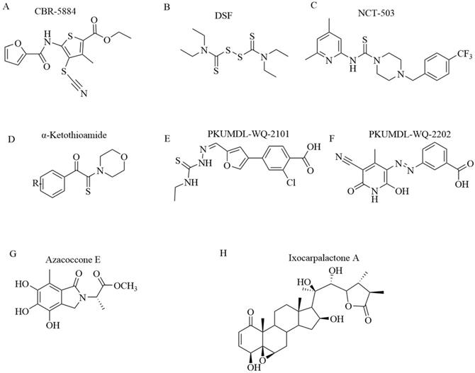 Int J Biol Sci Image