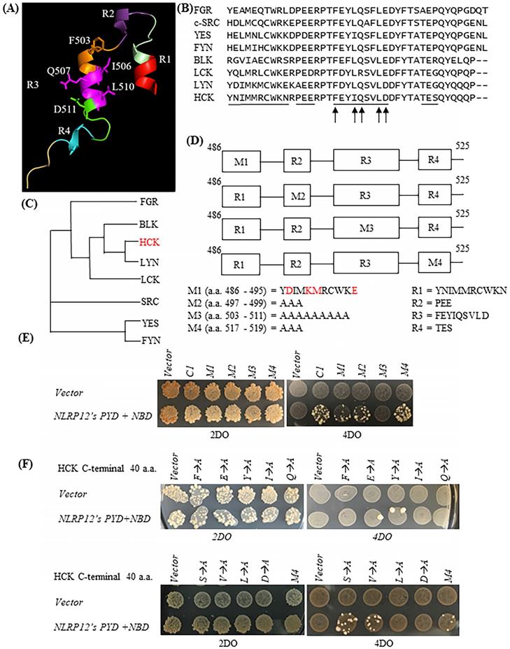 Int J Biol Sci Image