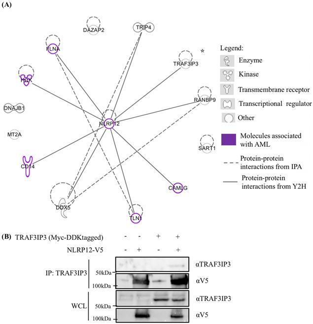 Int J Biol Sci Image