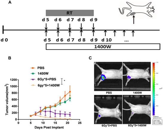 Int J Biol Sci Image