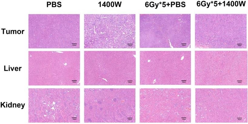 Int J Biol Sci Image