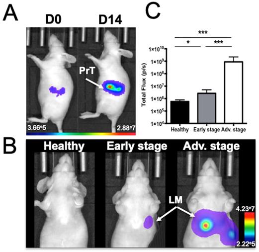 Int J Biol Sci Image