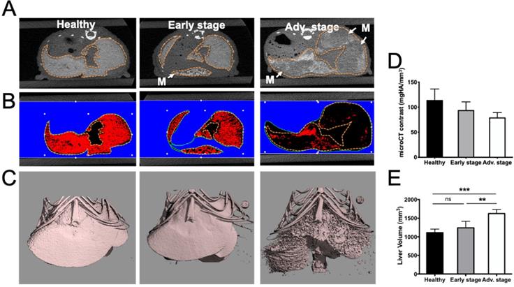 Int J Biol Sci Image