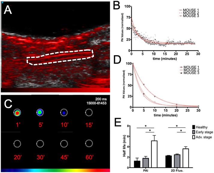 Int J Biol Sci Image