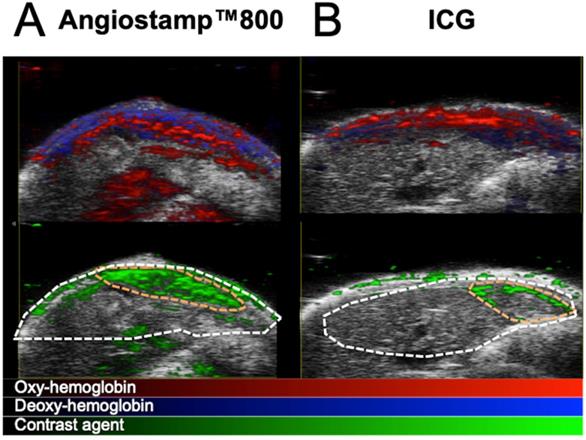 Int J Biol Sci Image