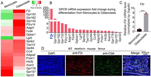 Int J Biol Sci Image