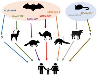 Int J Biol Sci Image