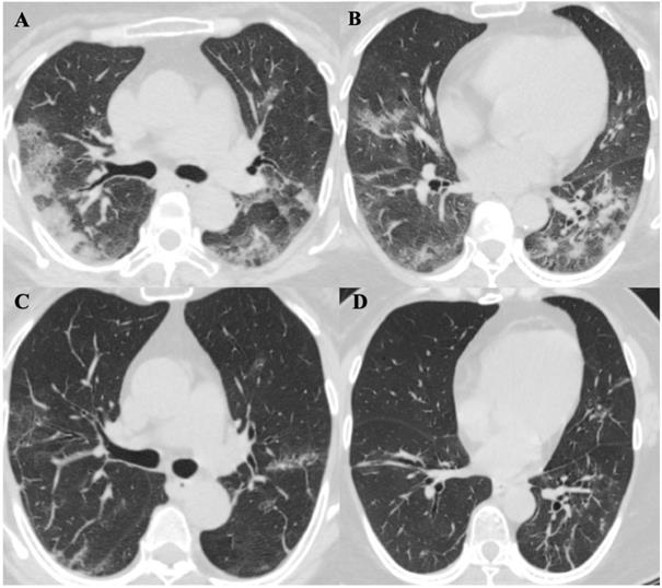 Int J Biol Sci Image