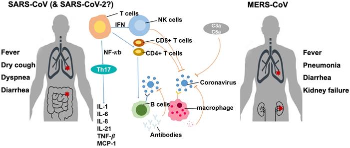 Int J Biol Sci Image