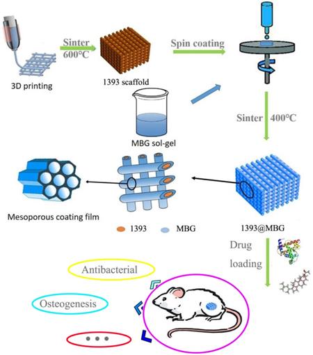 Int J Biol Sci Image