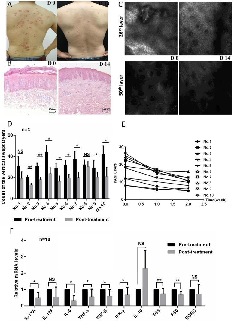 Int J Biol Sci Image