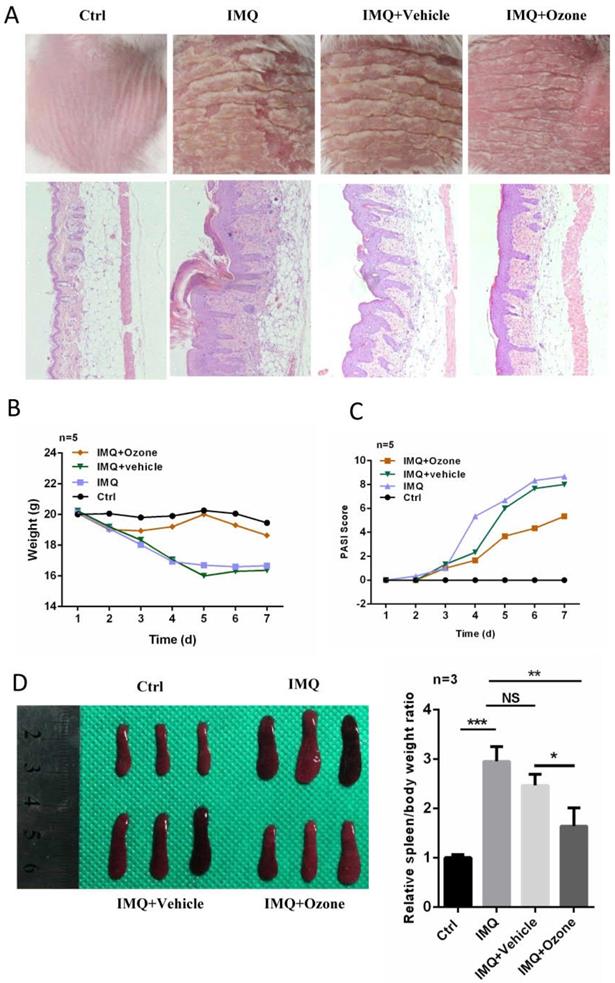 Int J Biol Sci Image