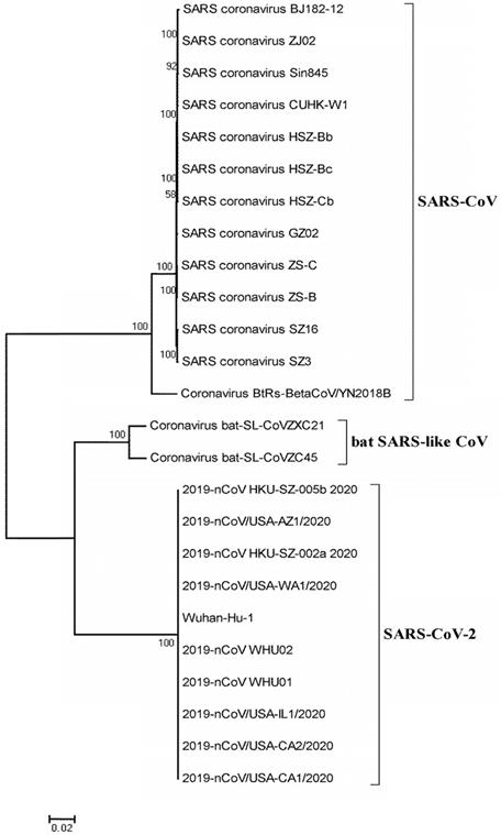 Int J Biol Sci Image