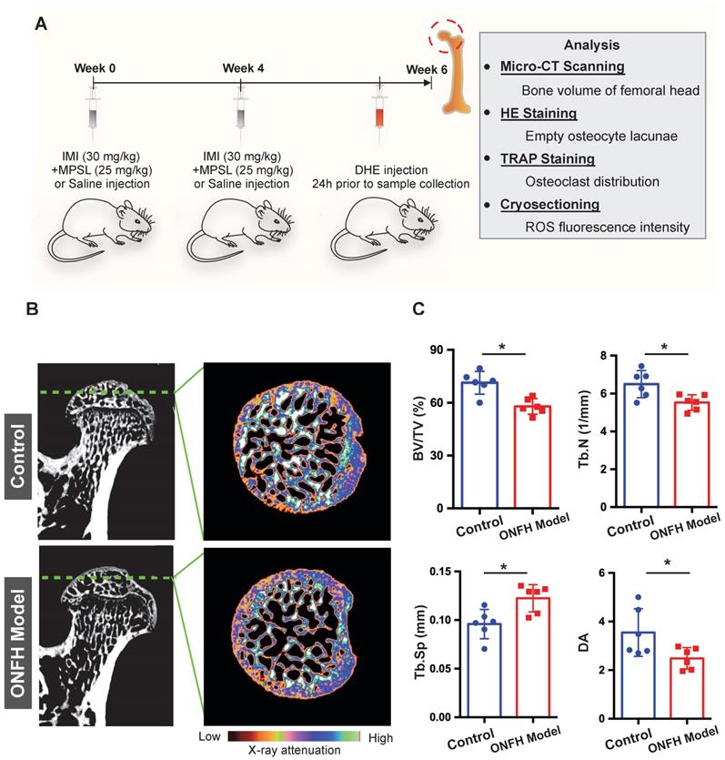 Int J Biol Sci Image