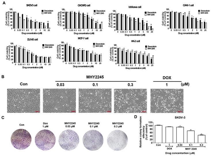 Int J Biol Sci Image