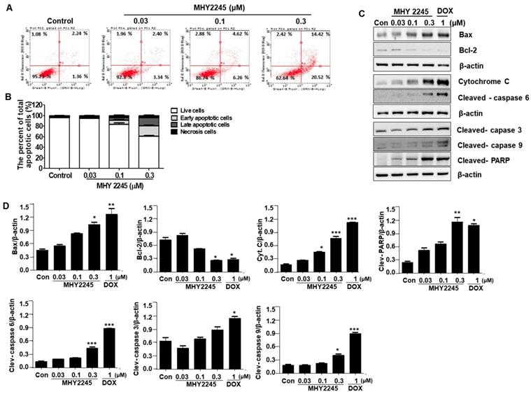 Int J Biol Sci Image