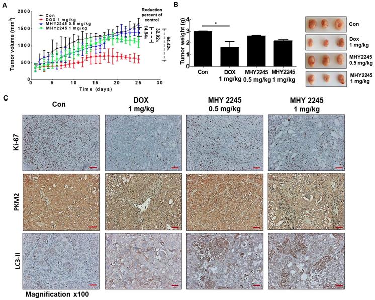 Int J Biol Sci Image