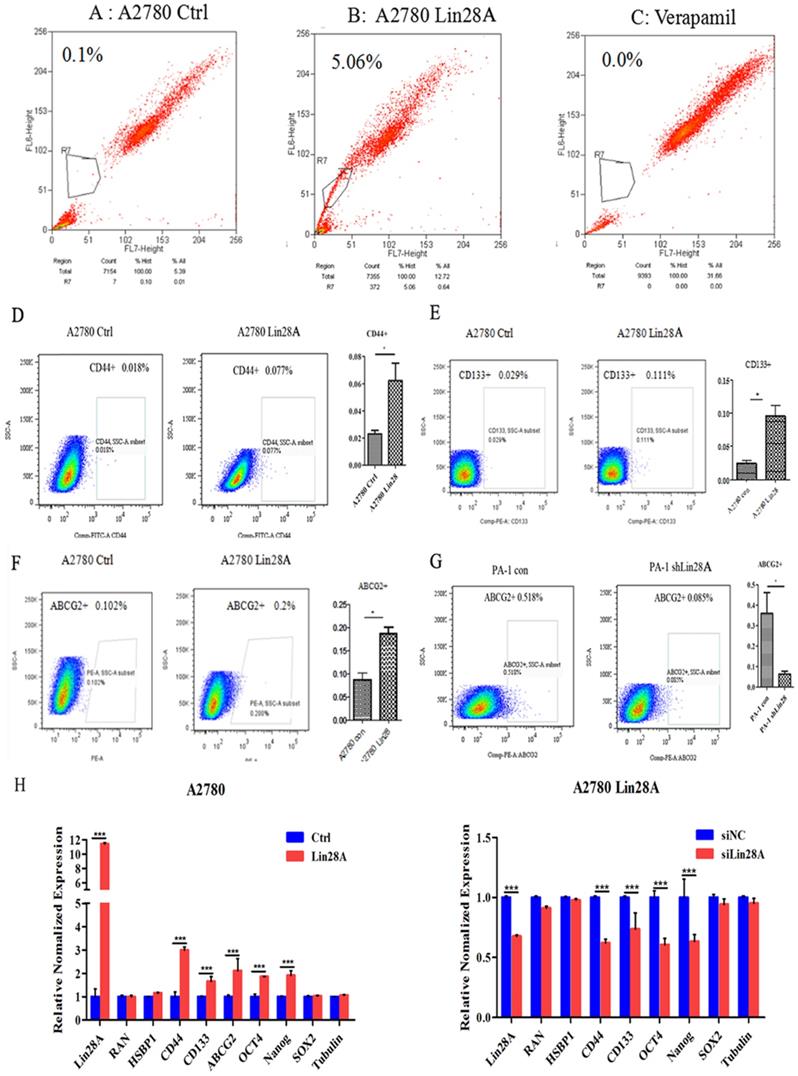 Int J Biol Sci Image