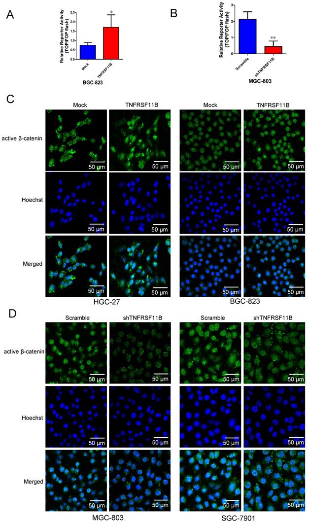 Int J Biol Sci Image