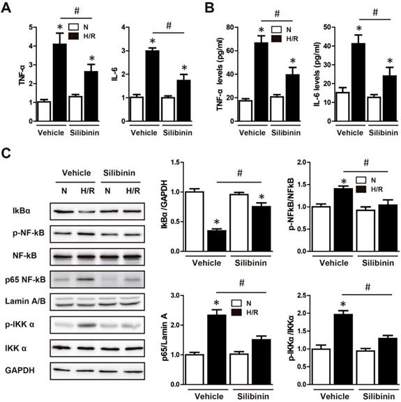 Int J Biol Sci Image