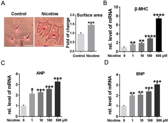 Int J Biol Sci Image