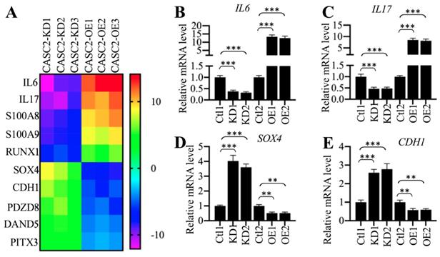 Int J Biol Sci Image