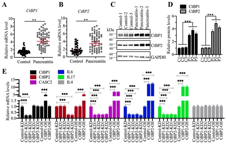 Int J Biol Sci Image