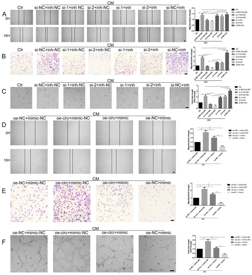 Int J Biol Sci Image