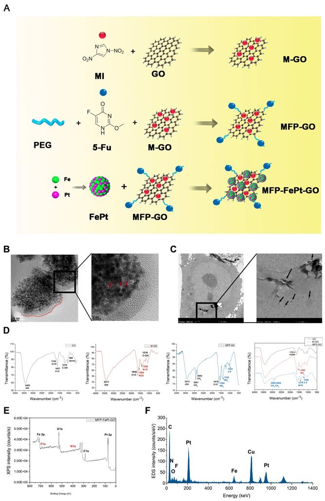 Int J Biol Sci Image